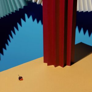 Modern multi-colored composition of fans, shadows and cardboard. Stylish geometric concept.